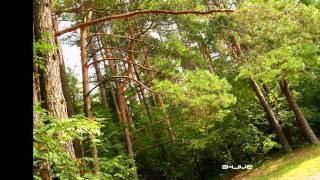 LIETUVA (ЛИТВА) 2010 г. Vilnius, Anyksciai - фото (Андрей Казаков)