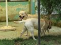 Sem&Lady