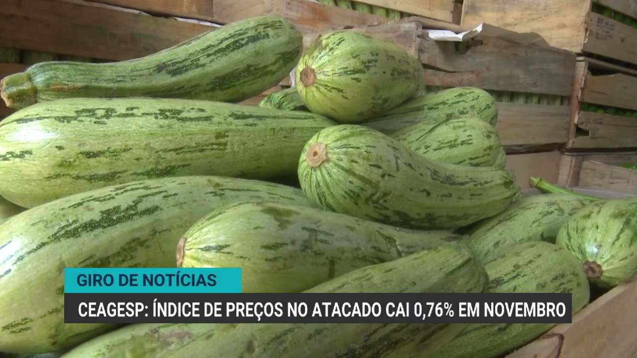 Anec eleva projeção de exportação de soja em dezembro | Giro de Notícias