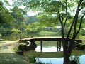 Wood flute meditation Wood flute meditation