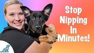 How To Stop Your Puppy From Biting