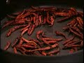 THAI FOOD Laab (Spicy Ground Beef)