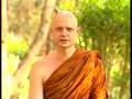 Ajahn Jayasaro - What is the wrong commitment?
