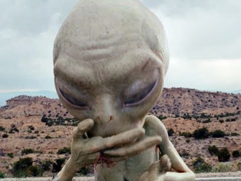 paul trailer 2 - http://www.facebook.com/vipmagazin1 ... Paul - Ein Alien auf der Flucht (Trailer deutsch / german HD) - Kinostart: 14.4.2011. Nach der ersten romantischen Zo...