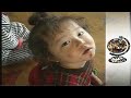 Famine - North Korea