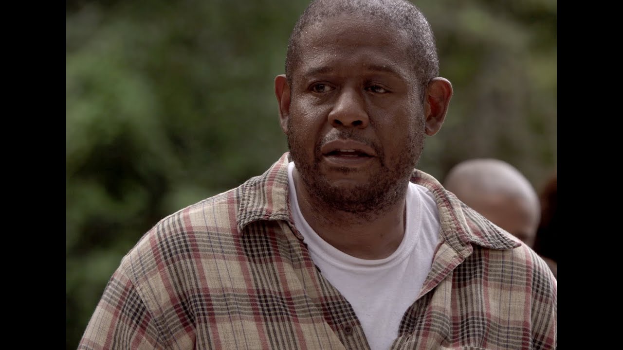 trailer-preview