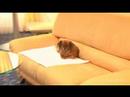 CITYGUIDE - Hotel St.Gotthard Basel Schweiz
