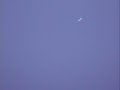 Extremely bright , huge UFO....NYC