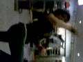 xtin-again-hahaaa
