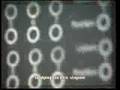 clip video Claude Barzotti Ami Ami