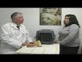 Caring for New Cats & Kittens : Cat Parasite Testing & Flea Control Caring for New Cats & Kittens : Cat Parasite Testing & Flea Control