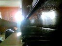 The Musician (Allen\