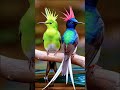🌿🦜COLORFUL BIRDS IN THE WILD | NATURE'S BEAUTIFUL SYMPHO ..