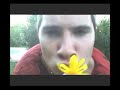clip