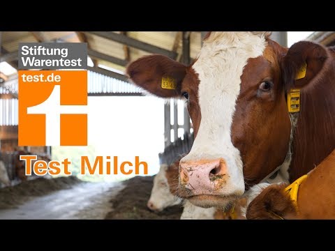 Test Milch: Kühe würden Bio kaufen