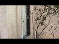 House Fire outside House Fire outside