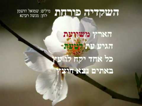 Cheat Sheet for Tu B'Shvat