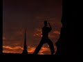 the best of van damme