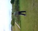 Andys golf swing