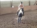Jumping Sally