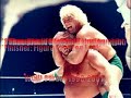 WCW 20 Greatest Wrestlers