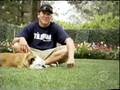 Tillman week one on the Greatest American Dog