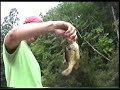 Big bass on top water Big bass on top water