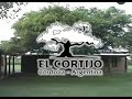 pigeon hunting in argentina   www argentinahunting net