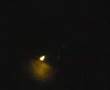 Tony and Daniel and Hunter playing with fire