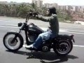 Harley Street Bob Gran Canaria