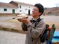 Pututu - parte 2 -  Miguel Albuquerque