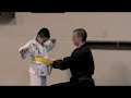 Yellow Belt 2008