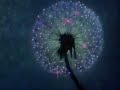 butterfly ~ fantasia 1940