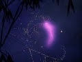 butterfly ~ fantasia 1940