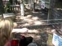 Ava feeding monkey
