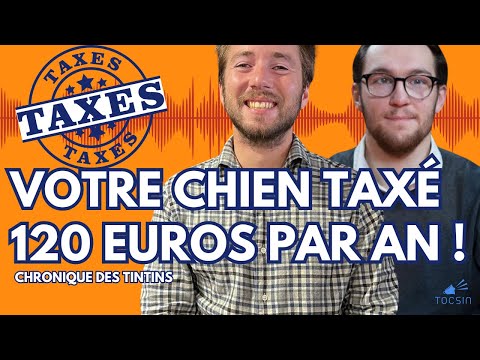 Image de prévisualisation YouTube