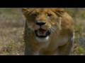 Be A Lioness! - Xandria - The Lioness