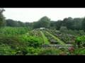 Cranford Rose Garden Time-lapse at Brooklyn Botanic Garden