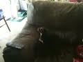 Sexy time