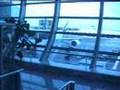 Dubai Airport Arrival: e-gate and Emirates Limousine Service