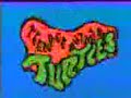 the theme song of teenage mutant ninja turtles.. :)...