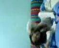 Samara/Crazy sister O_o
