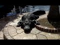One Fat Ass Gator (Holiday Day 3 - Gatorland)