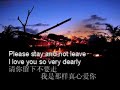 你在我心中 (You Are in My Heart, 夜のフェリ-ポ-ト)