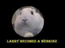 Larry the Bunny is a Webkinz Episode 1