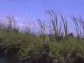 Tim Gilberg Surf Trip Mainland Mexico San Blas Santa Cruz