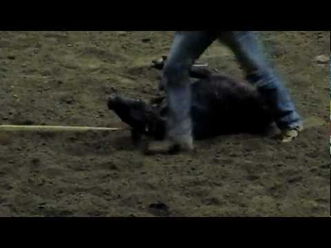 grand national grand national