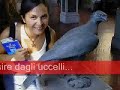 Mimmo e Isa Sposi CLIP (1)