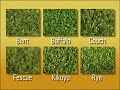 Enviro Grass DIY