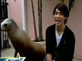 Joe Jonas gets scared by a sea lion Joe Jonas gets scared by a sea lion